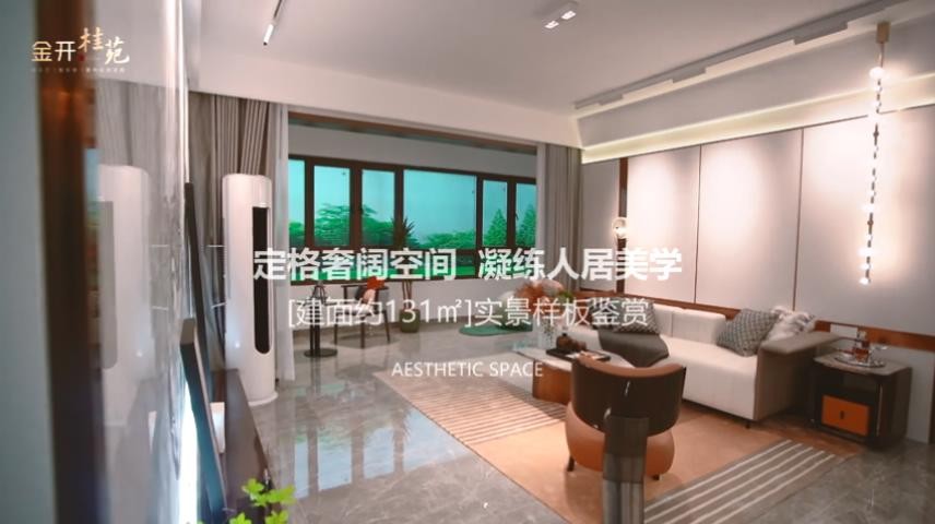 金開桂苑樣板房視頻